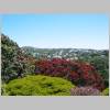 Wellington 049.jpg